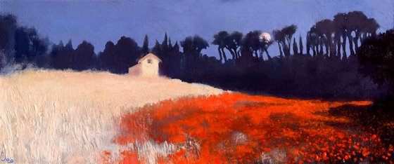 Moonrise over the poppy field-Provence