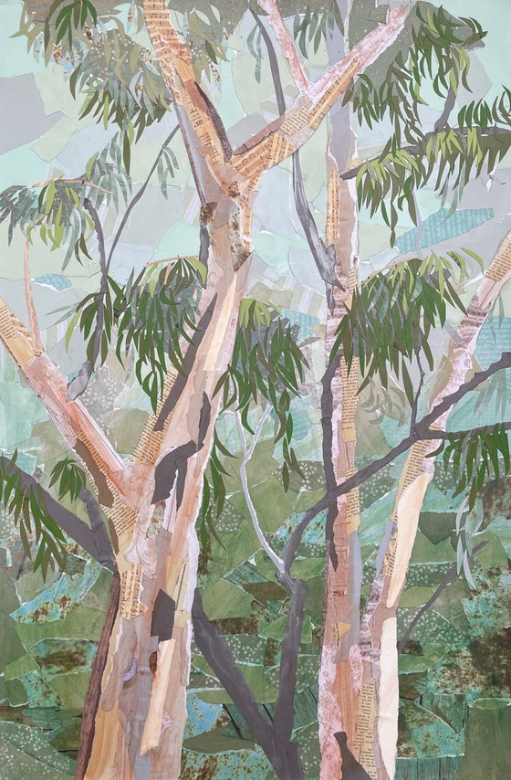 Eucalyptus in Fog