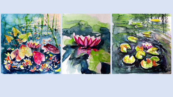 Water lilies collection II