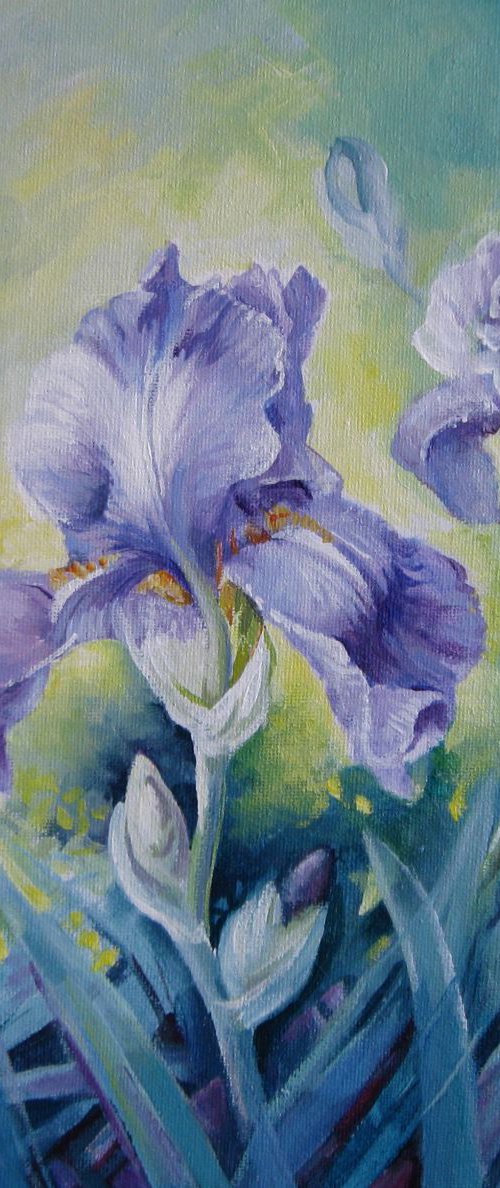 Irises by Elena Oleniuc