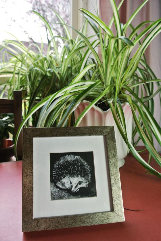 Hedgehog Monotype, Framed Artwork Ready to Hang