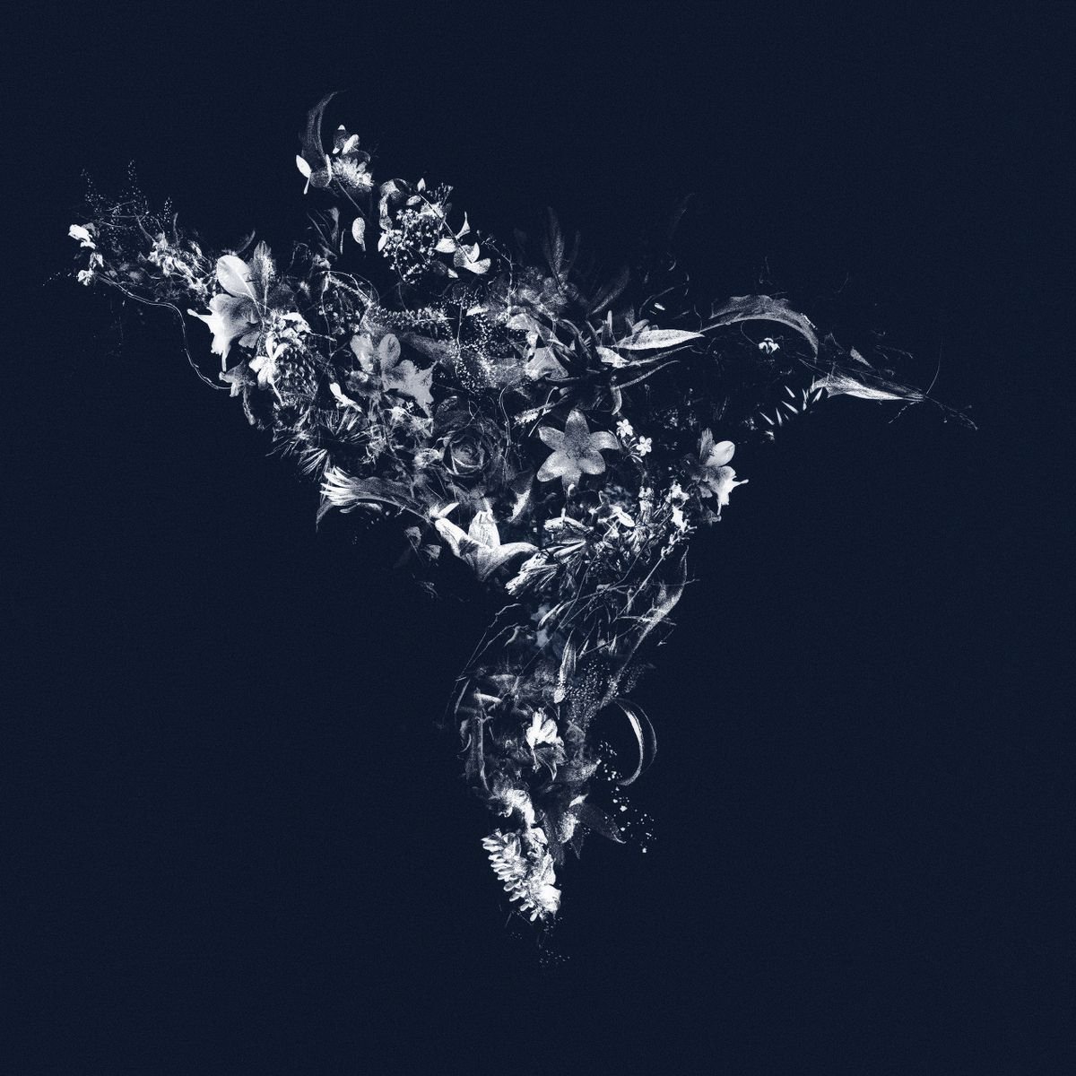 Botanical Painting By Teis Albers, 39 X 39", Floralbird, Original Artwork