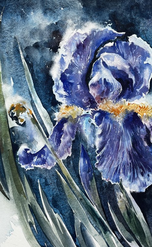 Blue Iris #5 by Larissa Rogacheva