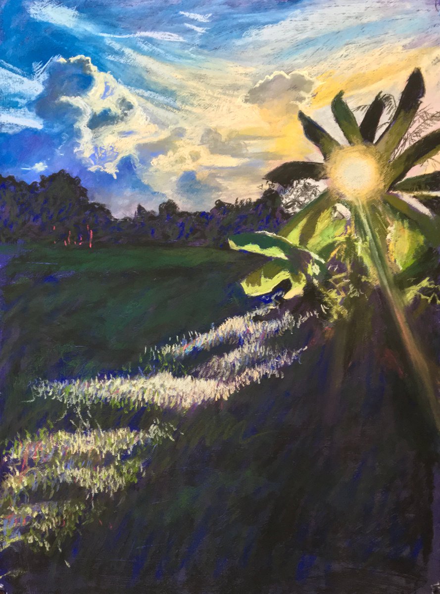 Impressionistic Landscape Pastel Drawing By John Cottee, 22 X 30, Banana Sunset, Original Artwork