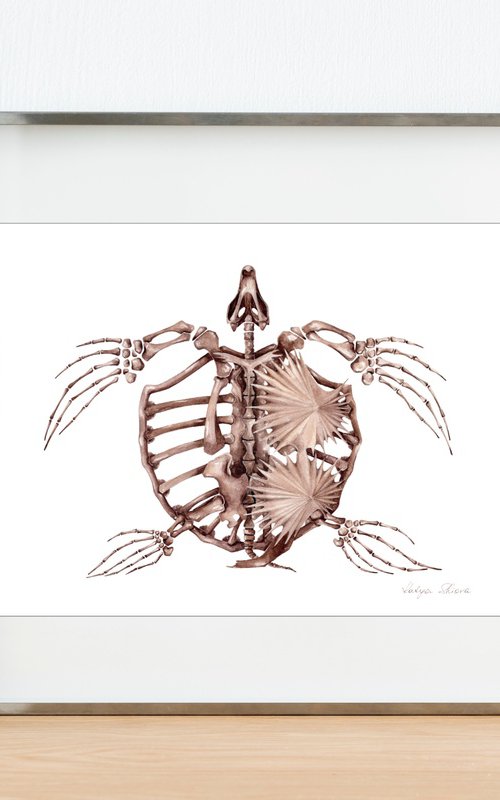 Archelon, the giant prehistoric marine turtle by Katya Shiova
