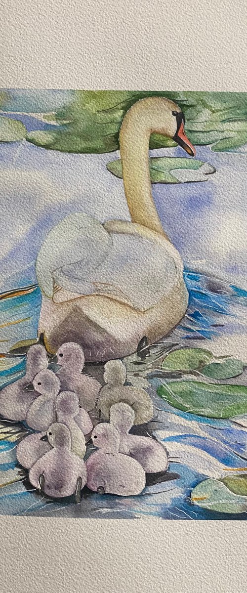 Follow the leader.   Swans watercolour painting by Bethany Taylor