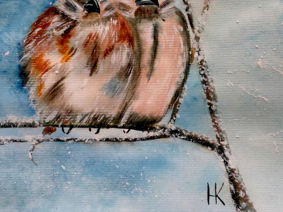 Sparrow Painting Bird Original Art Small Home Watercolor Wall Art Animal Painting 11 by 8" by Halyna Kirichenko
