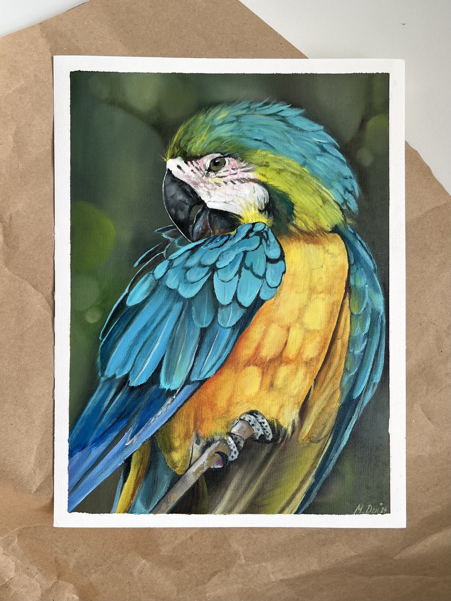 Photorealistic Oil Painting , Parrot Oil Painting By Myroslava Denysyuk, 9 X 13, Artwork For Sale On Artfinder