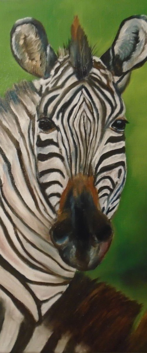 Zebra by Timea  Valsami