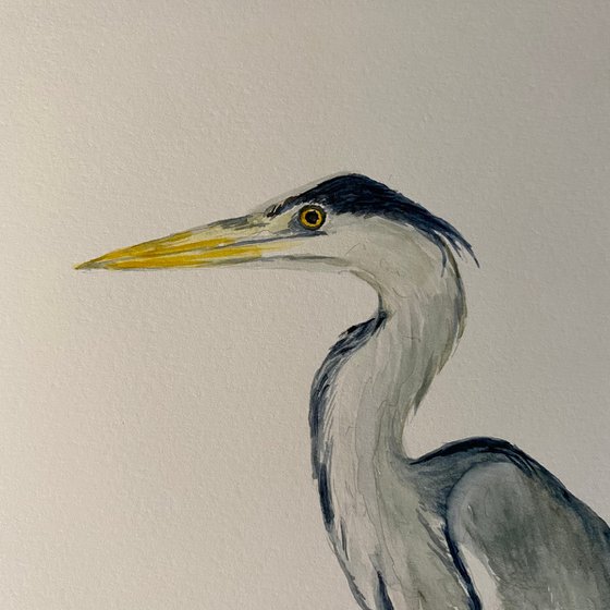 Heron