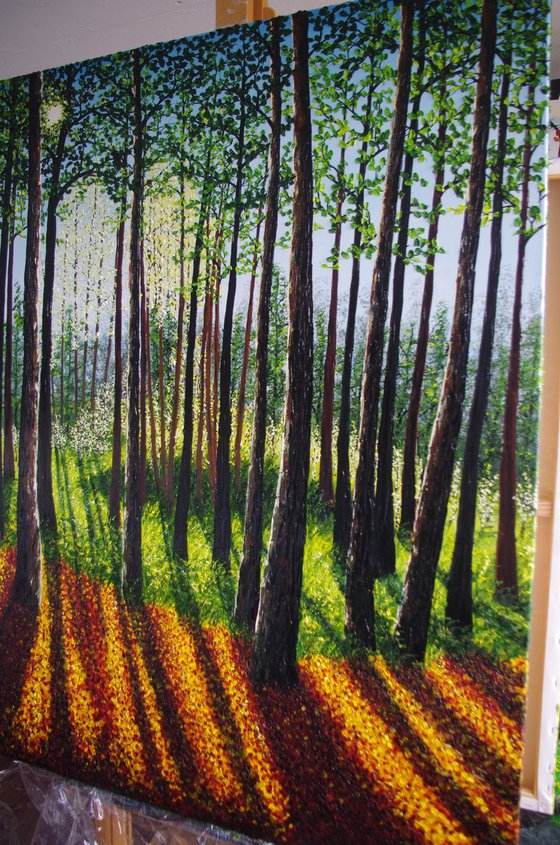 Autumn Forest Light