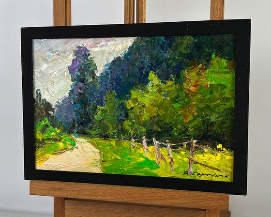 A Road along a Summer Forest