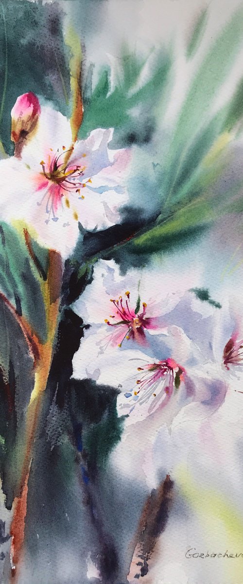 Almond flowers #8 by Eugenia Gorbacheva