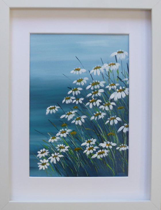 Coastal Daisies