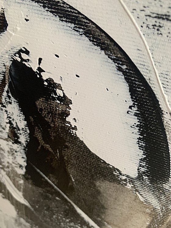 Ivory Bloom in Shadowed Light