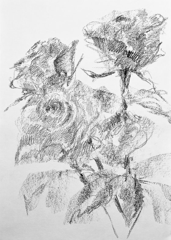 Roses #14. Original charcoal drawing