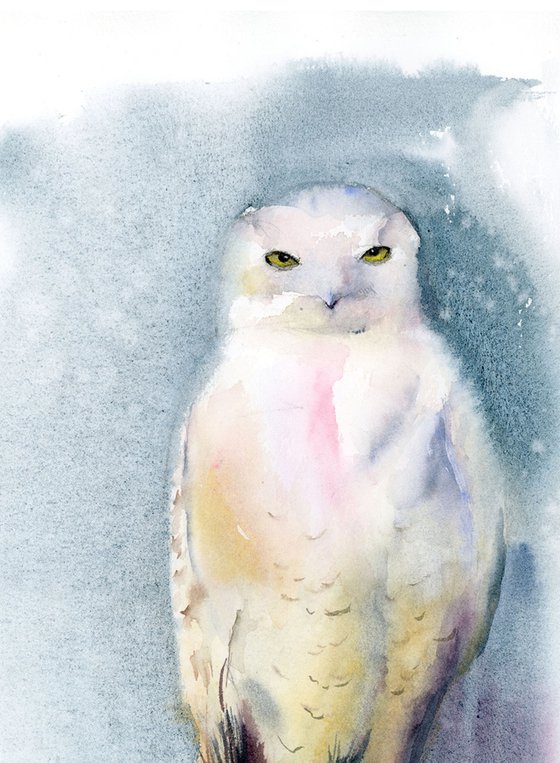 Snowy Owl