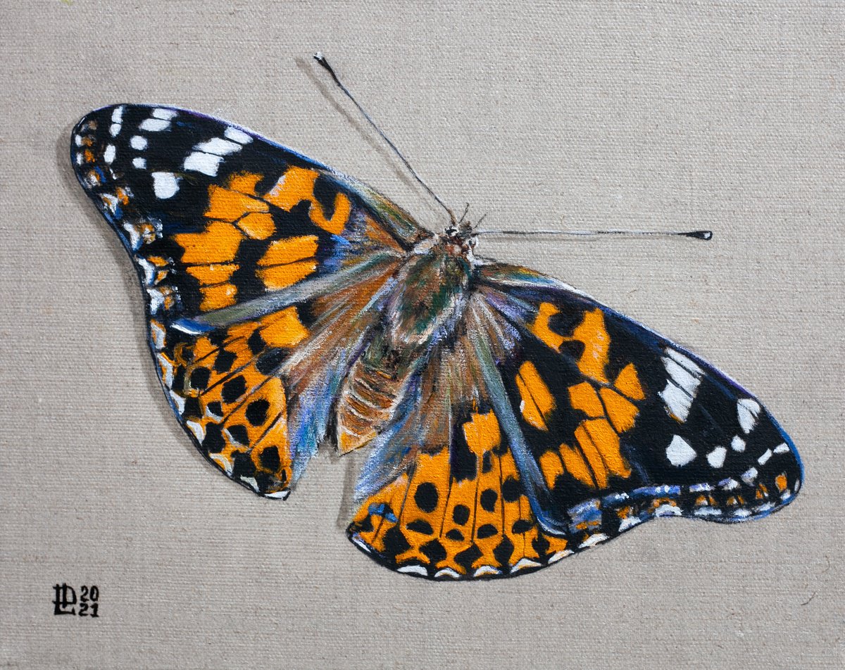 Photorealistic Animal Oil Painting By Liudmila Pisliakova, 12 X 9", Butterfly, Original Artwork