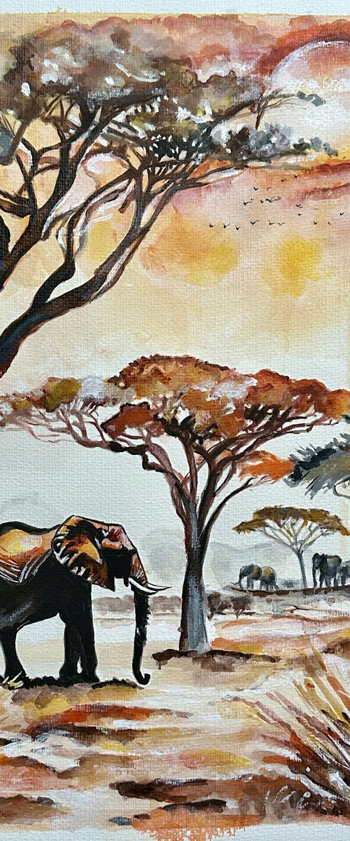 Safari Evening by Misty Lady - M. Nierobisz