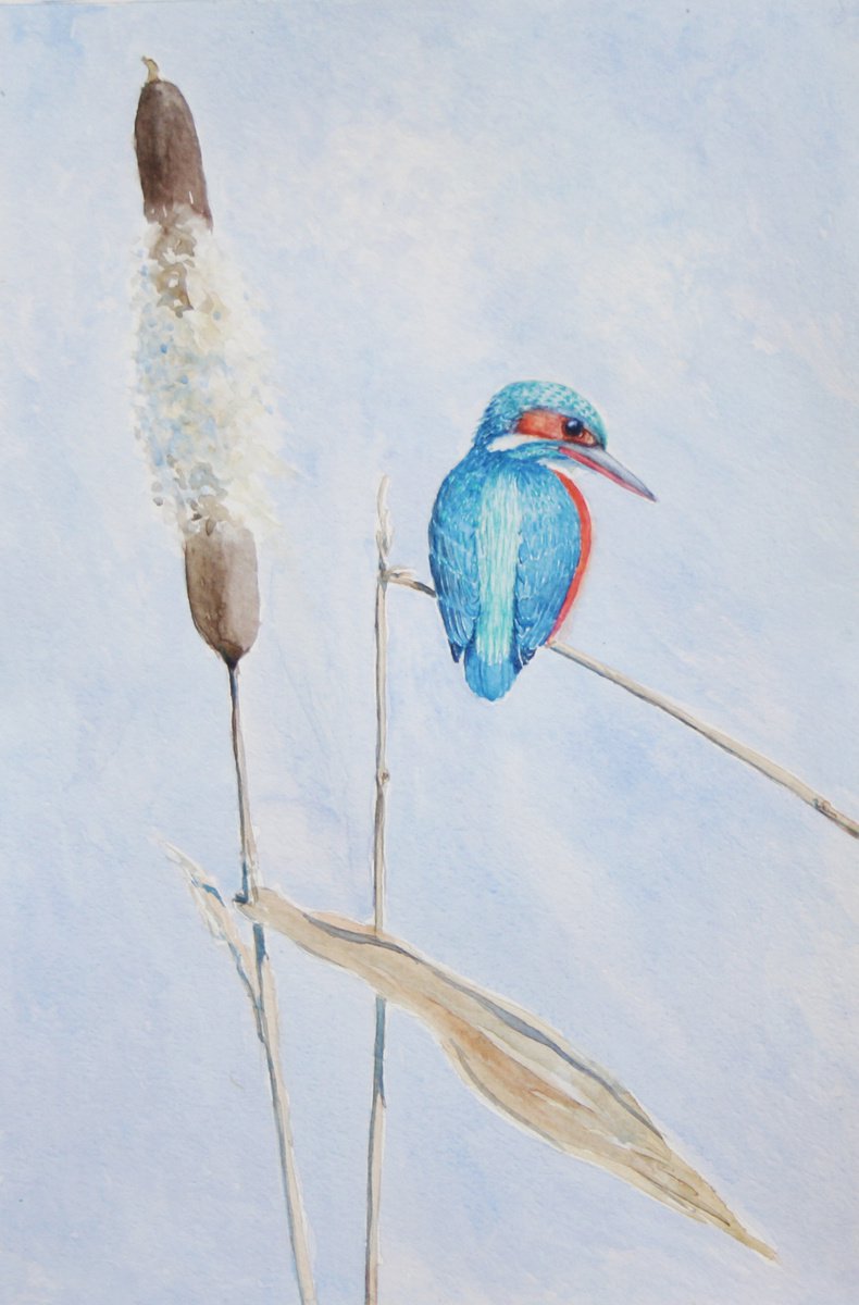 Kingfisher by John Horton