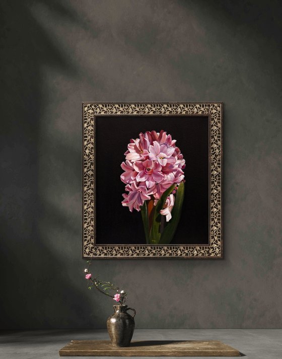 Chiaroscuro Pink Hyacinth Elegance