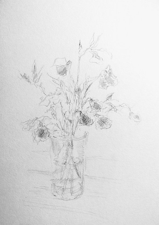 Sweet pea #6 - Still life. Original pencil drawing