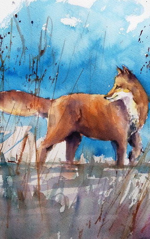 fox 8 by Giorgio Gosti