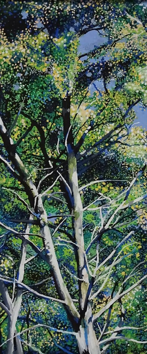 Summer Tree 4 by Roz Edwards