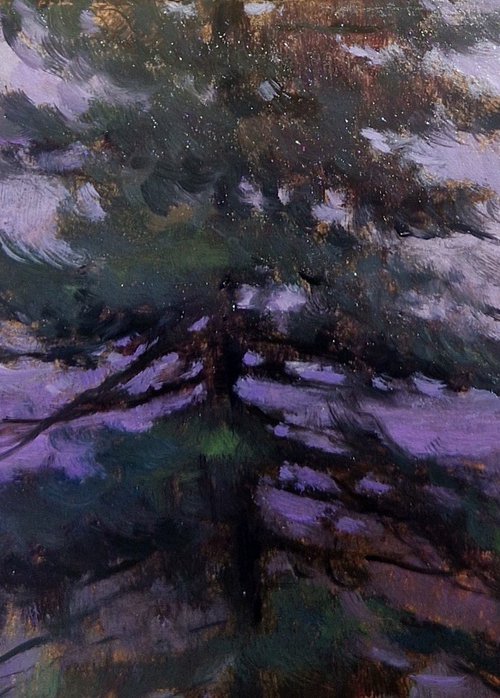 Pine Tree Study by Ayna Paisley