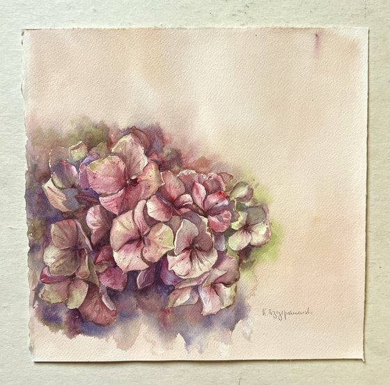 Crush and Blush