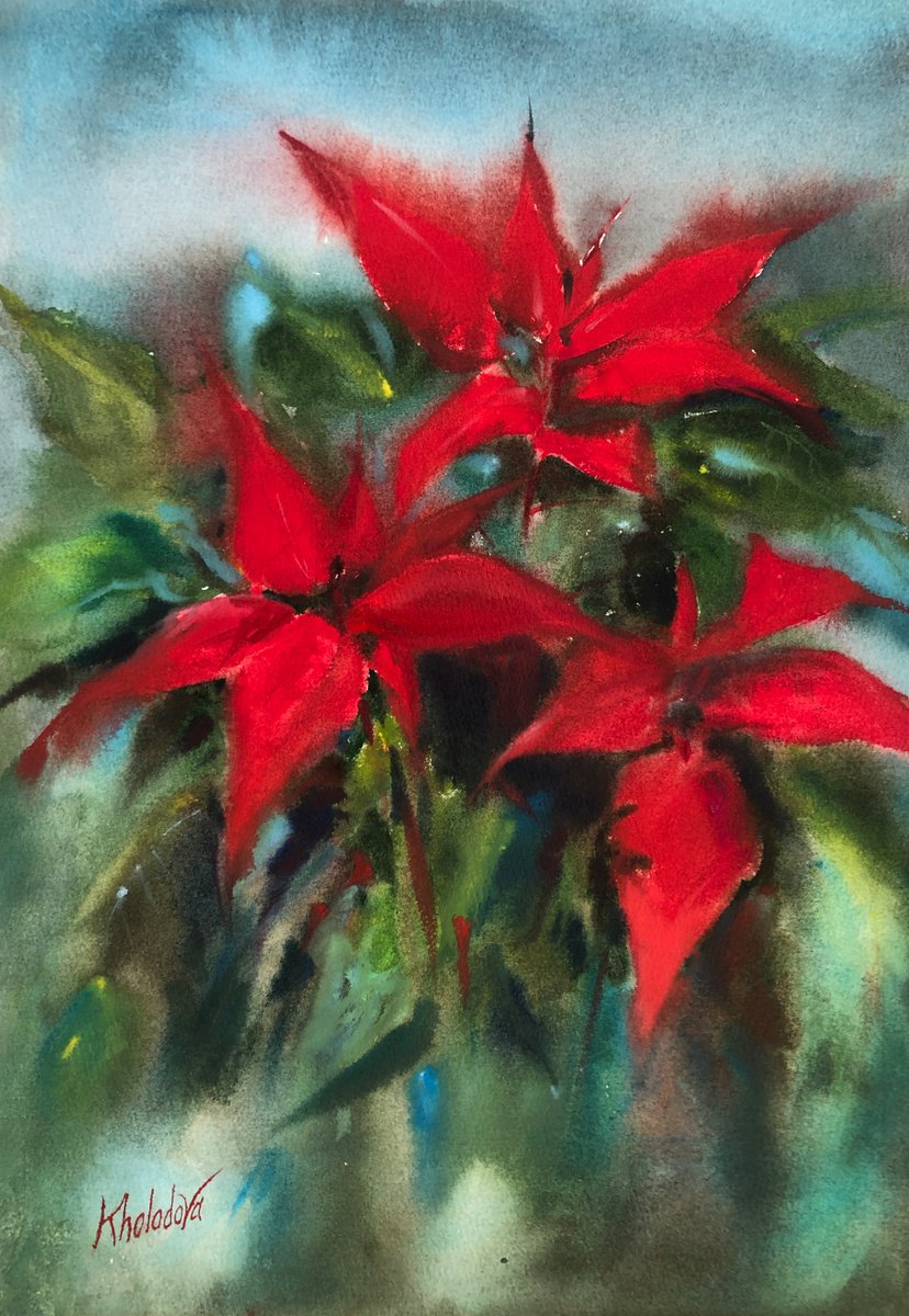 Pointsettia by Olga Kholodova