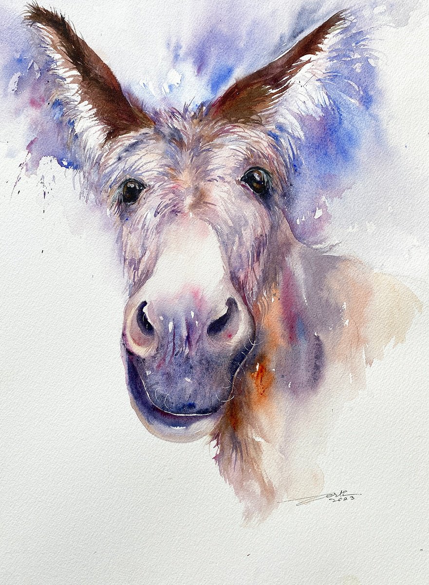 Impressionistic Animal Watercolour By Arti Chauhan, 12 X 16, Smile A Little_ Donkey, Original Artwork