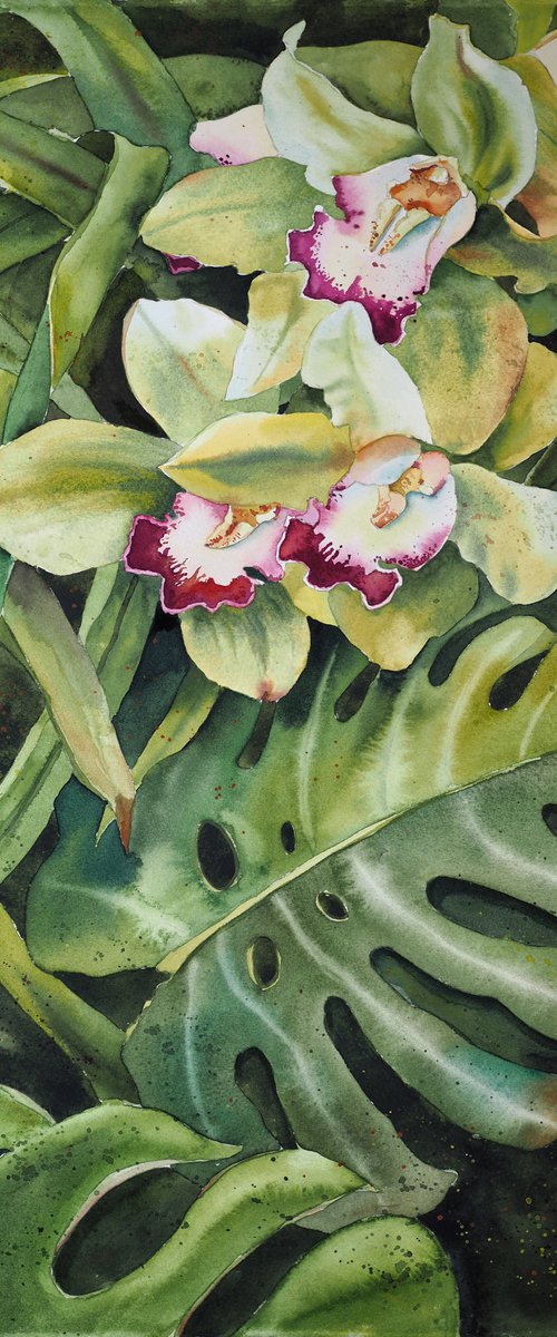 A tropical forest - original watercolor orchid flowers and monstera leaves by Delnara El