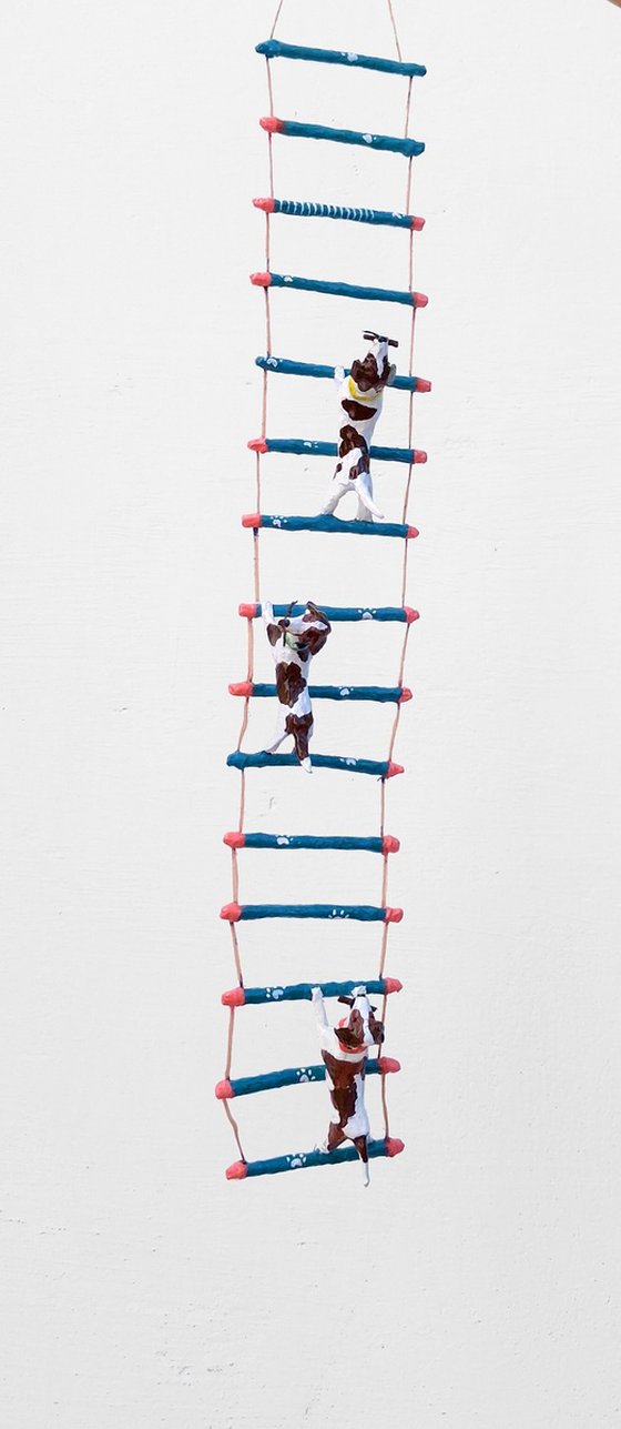 Beagles climbing ladder