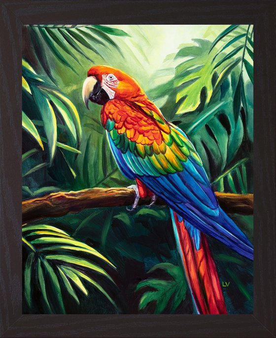 Scarlet macaw parrot in the jungle
