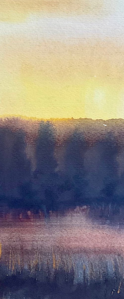 Turners Paddock lake Sunset, Stourhead by Samantha Adams