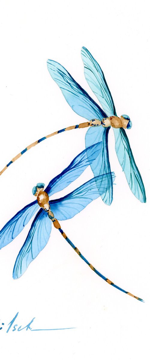 Dragonflies Dance by Olga Kölsch