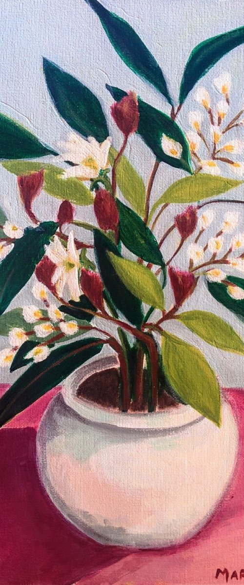 Flowers from Montserrat #3 by Marisa Añón