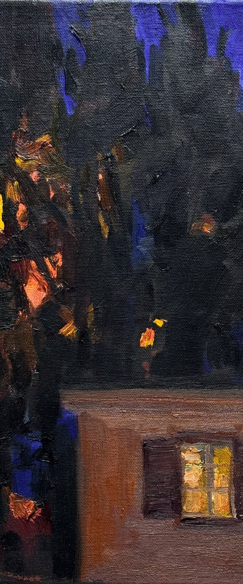 Night Window by Nataliia Nosyk