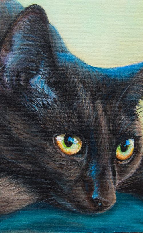 Black Cat 2 by Norma Beatriz Zaro