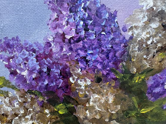 Collection of Delicate Flowers - Captivating Lilacs