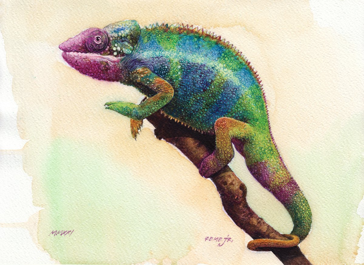 Chameleon II by REME Jr.