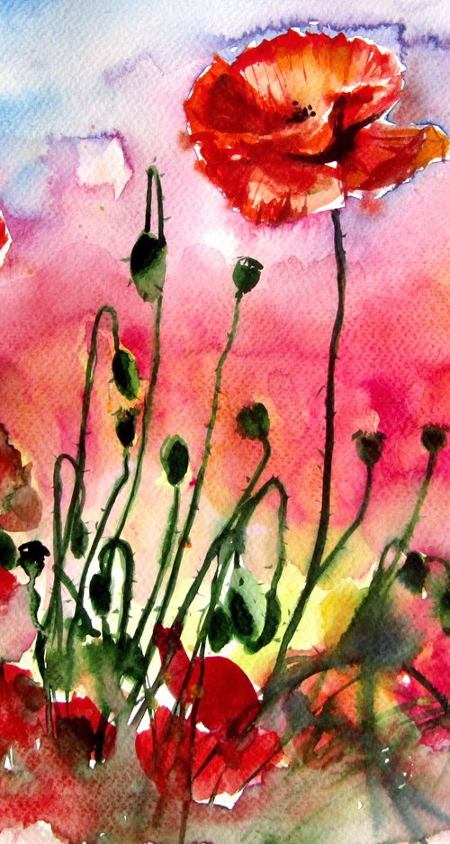 Poppies at sunset by Kovács Anna Brigitta
