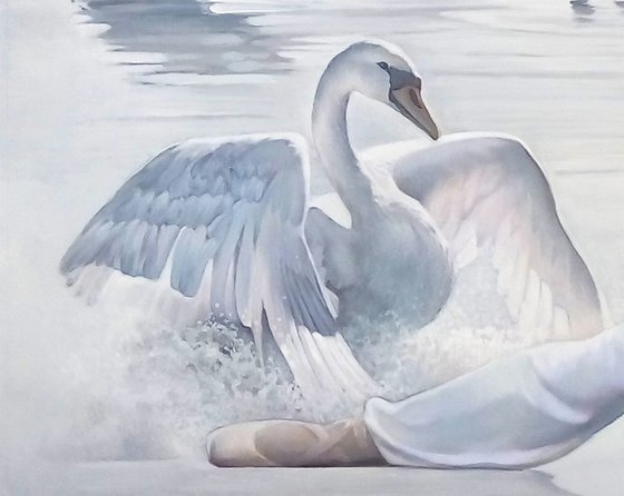 Dancing with Swans