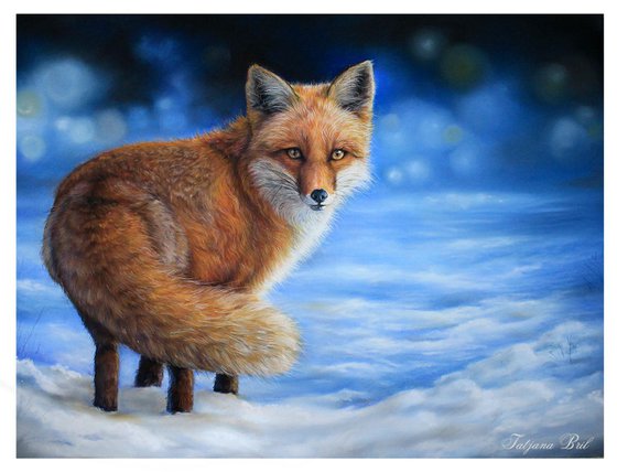 Fox in the snow