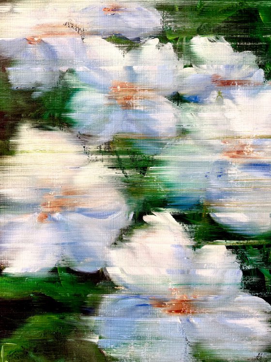 White Flowers at night