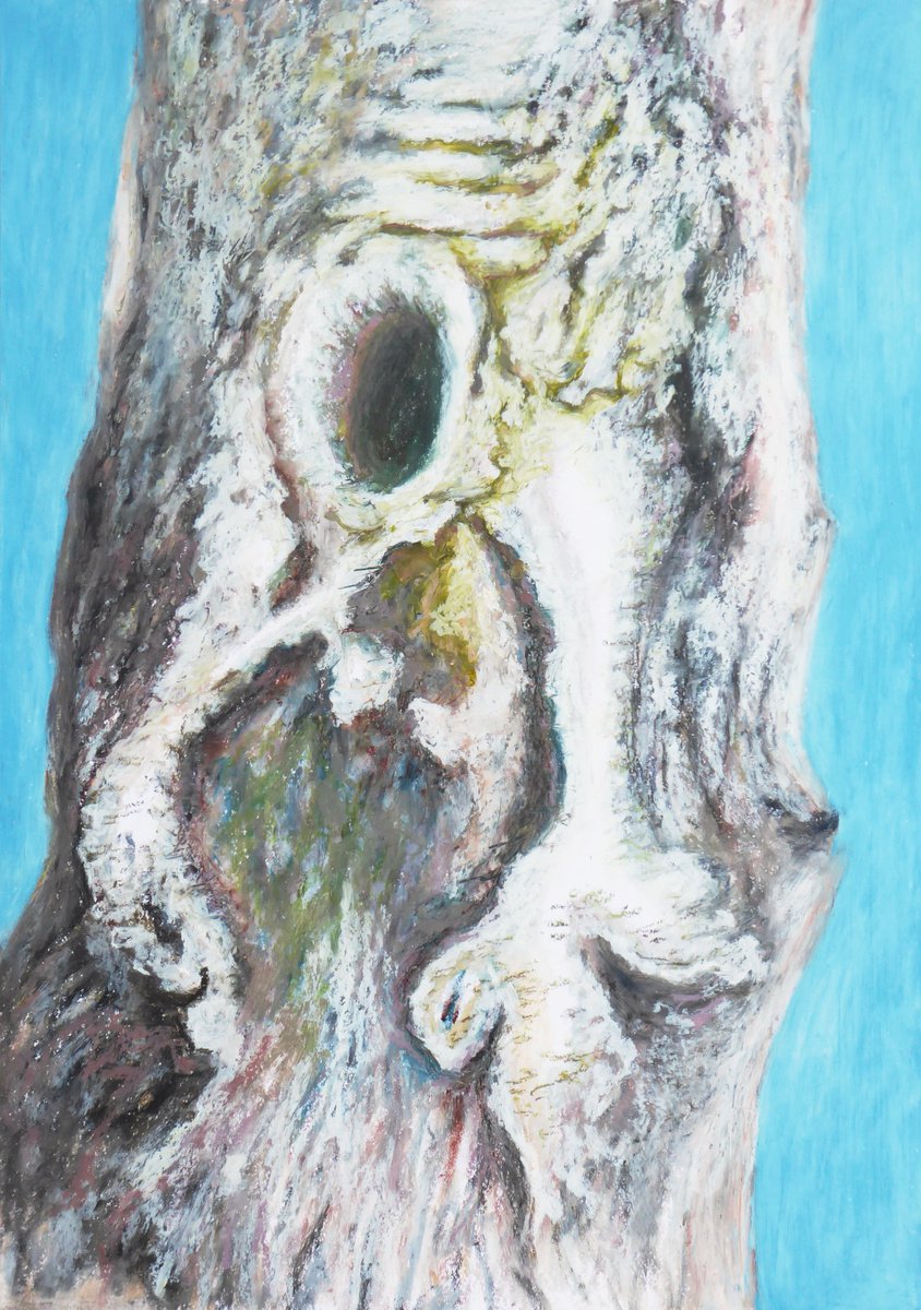 Impressionistic Botanical Pastel Drawing By Jacqueline Talbot, 12 X 17, Silver Birch, Original Artwork