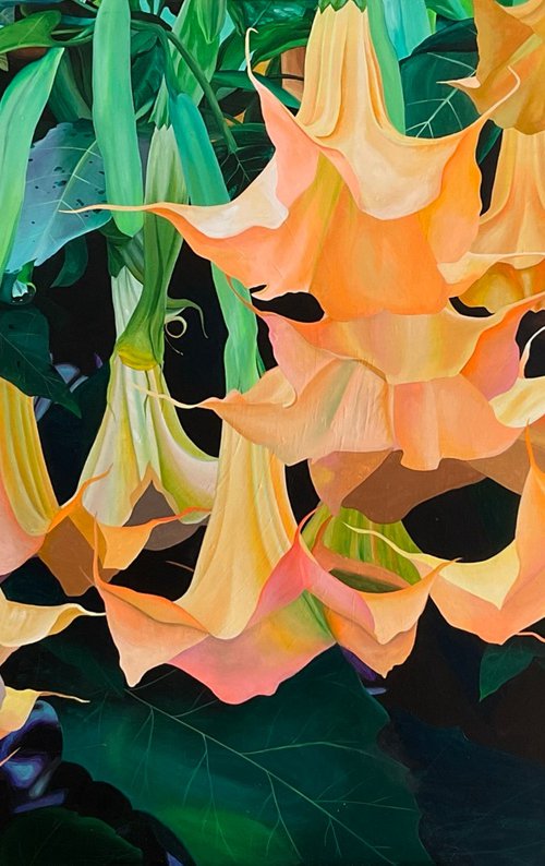 Brugmansia by Amani Muhammad