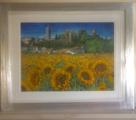 Sunflower Fields near Pals
