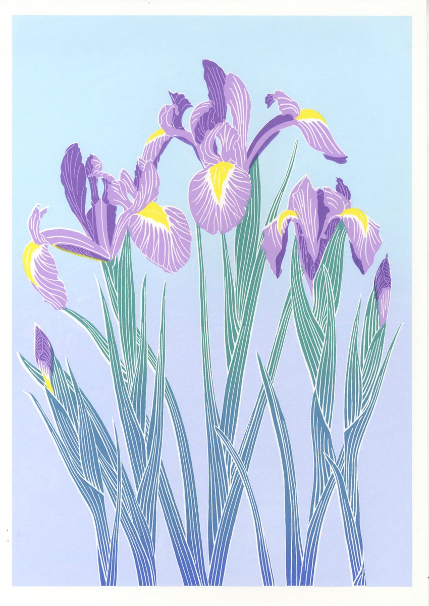 Graphic Botanical Screenprint By Louise Boulton, 11 X 17", Irises, Original Artwork